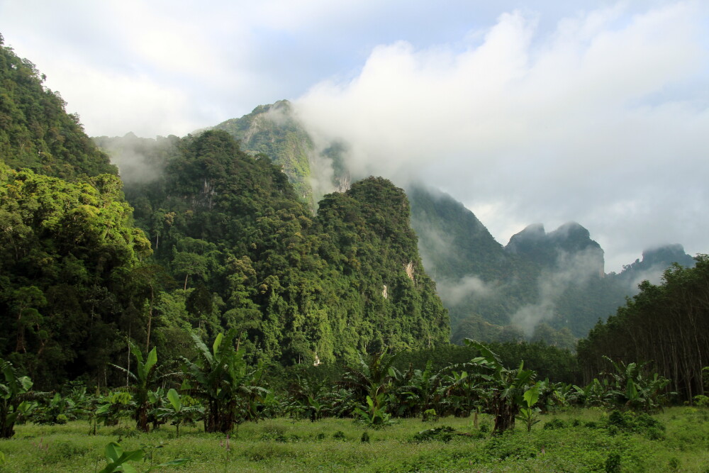 Khao Sok