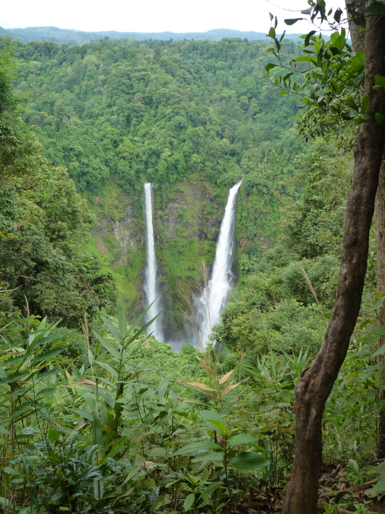 Bolaven-plateau